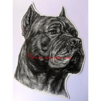 Samolepka cane corso c571 - Malá - přibližně jako pohlednice