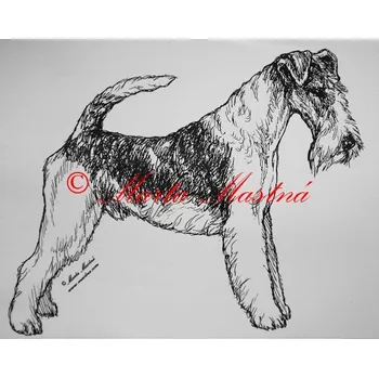 Samolepka foxteriér - archiv c87 - Malá - přibližně jako pohlednice