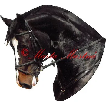 Samolepka kůň teplokrevník, koně - archiv 495