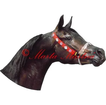 Samolepka arabský plnokrevník, kůň, koně - archiv 481