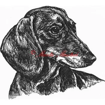 Samolepka jezevčík hladkosrstý c549 - Malá - přibližně jako pohlednice