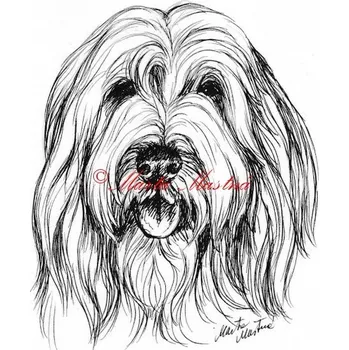 Samolepka bearded kolie c531 - Malá - přibližně jako pohlednice