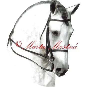 Samolepka andaluský kůň, pura raza, koně - archiv 552