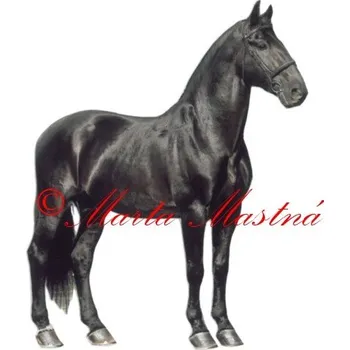 Samolepka kladrubský vraník, kůň, koně 34