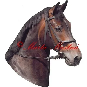 Samolepka kůň teplokrevník, koně 112