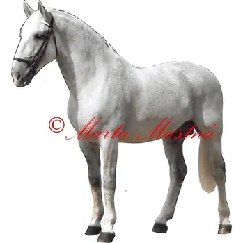 Samolepka kladrubský bělouš, kůň, koně - archiv 611