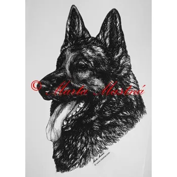 Samolepka německý ovčák - archiv c450 - Malá - přibližně jako pohlednice