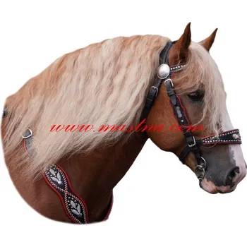 Samolepka českomoravský belgik, kůň, koně 2024