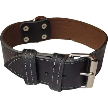 Obojek pro psa Palkar Obojek z kůže hlazenice pro psy 75 cm × 40 mm černý
