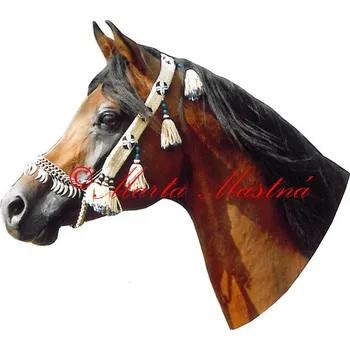 Samolepka arabský plnokrevník, kůň, koně - archiv 669