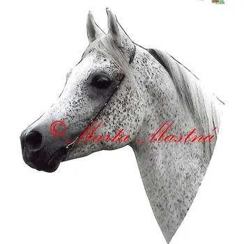 Samolepka arabský plnokrevník, kůň, koně - archiv 667