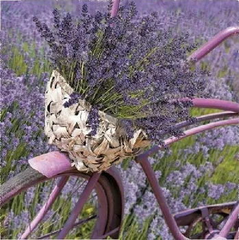 Papírový ubrousek Papírové ubrousky Levandulové kolo 33/3/20 234070