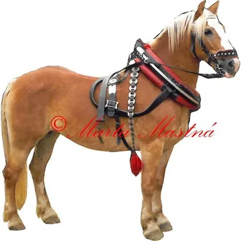 Samolepka hafling, kůň, koně 88