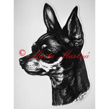 Samolepka pražský krysařík - archiv c443 - Malá - přibližně jako pohlednice