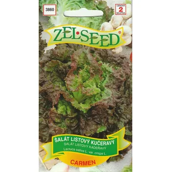 Semeno Salát kadeřavý Carmen (letní, listový, červený)