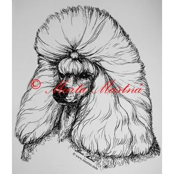 Samolepka pudl c357 - Malá - přibližně jako pohlednice