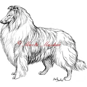 Samolepka kolie c530 - Malá - přibližně jako pohlednice