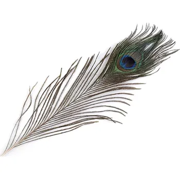 Karnevalový doplněk StoklasaPravé paví peří 20-30cm