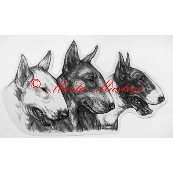 Samolepka bulteriér - archiv c379 - Malá - přibližně jako pohlednice