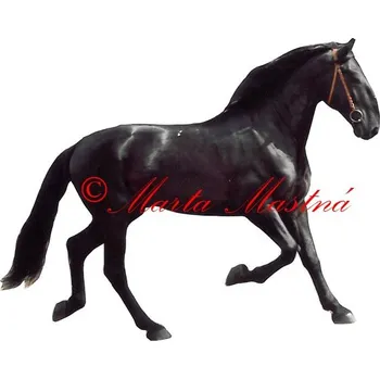 Samolepka kladrubský vraník, kůň, koně 615