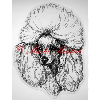 Samolepka pudl c170 - Malá - přibližně jako pohlednice