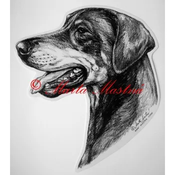 Samolepka dobrman - archiv c40 - Malá - přibližně jako pohlednice