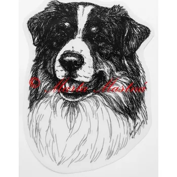 Samolepka australský ovčák c369 - Malá - přibližně jako pohlednice