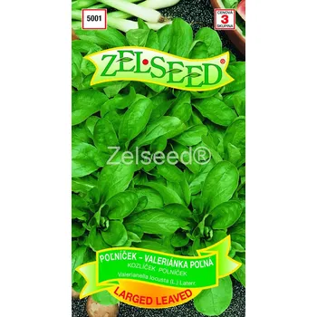 Semeno Kozlíček polníček Larged Leaved (velké listy)