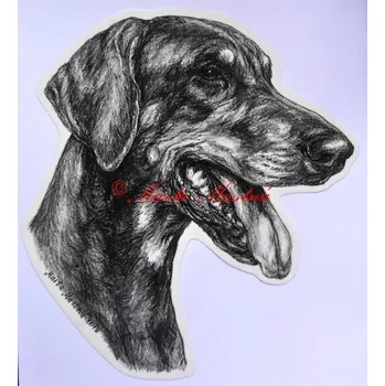 Samolepka dobrman c516 - Malá - přibližně jako pohlednice