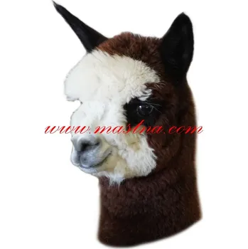 Samolepka lama alpaka hnědobílá