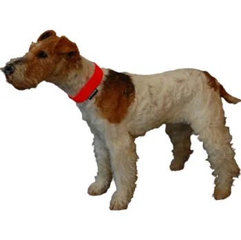 ZÁHOŘÍ Rudel Reflexní obojek - guma sešitý k sobě bez reflexní pásky Barva: Žlutá, Délka: 61 cm