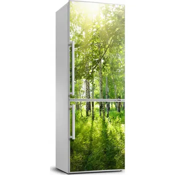 Fototapeta Fototapeta / Samolepka na ledničku - Březový les
