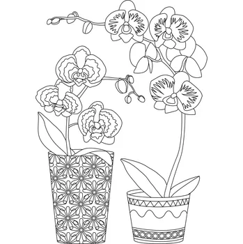 Pískohraní s.r.o. Šablona Orchidej Velikost: 297 x 420 mm