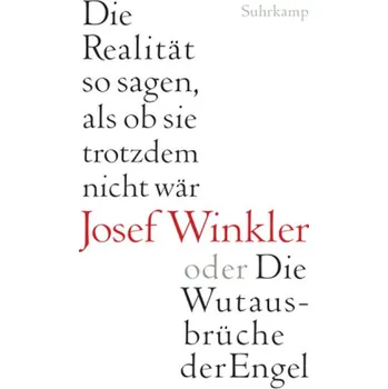 Die Realität so sagen, als ob sie trotzdem nicht wär oder Die Wutausbrüche der Engel - Josef Winkler