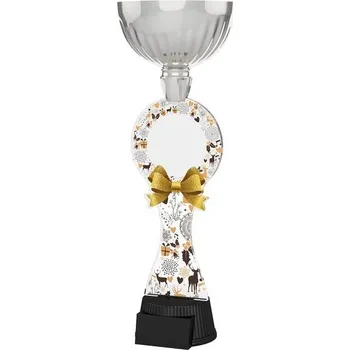 Poháry Bauer Akrylátová trofej ACUPCSM63 | Vánoce
