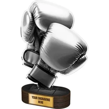 Poháry Bauer Akrylátová trofej TLR2023307 | Bojová umění