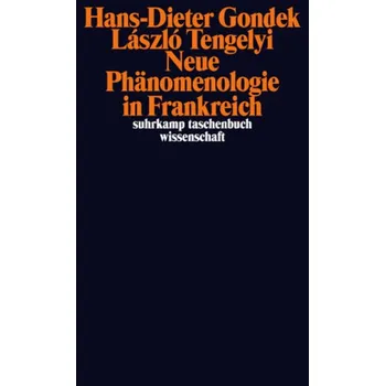 Neue Phänomenologie in Frankreich - Gondek, Hans-Dieter
