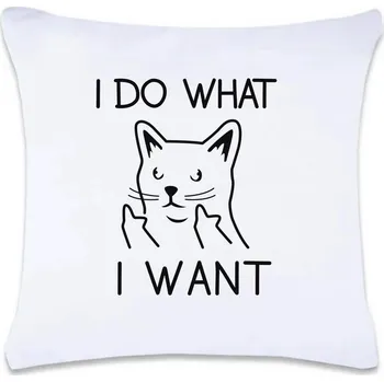 Dekorativní polštářek DOBRÝ TRIKO Polštář s potiskem 40 x 40 cm I do what I want Oboustranný tisk: NE