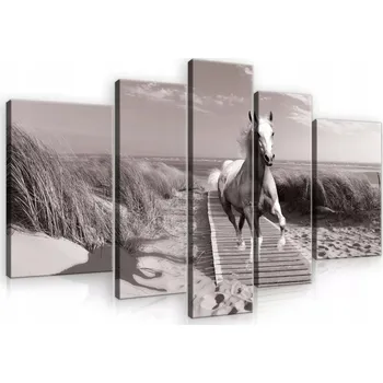 Obraz OBRAZ NA PLÁTNĚ CANVAS 170x100 PLÁŽ MOŘE KŮŇ