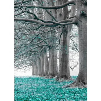 Obraz Plakát Stromy v řadě - tyrkysové listy bez rámu 39,5 x 55 cm