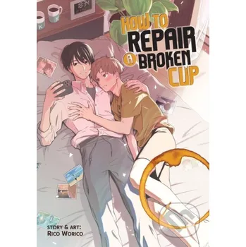 Komiks pro dospělé How To Repair A Broken Cup - Rico Worico Seven Seas