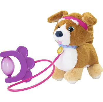 Sprint štěně Corgi