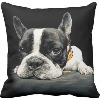 Polštář Polštář Francouzský Buldoček pes buldoček černý