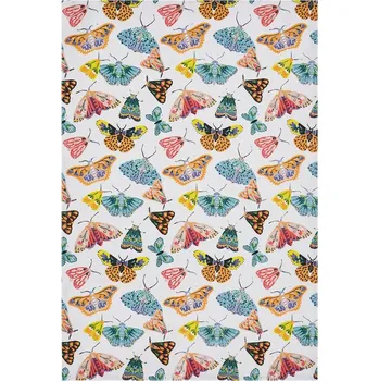 Obraz Ulster Weavers Butterfly House hadřík CO 022BF