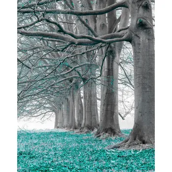 Obraz Plakát Stromy v řadě - tyrkysové listy bez rámu 40 x 50 cm