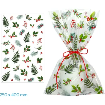 LUMA Sáček celofán barevný 25 x 40 cm chvojí