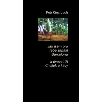 Poezie Jak jsem pro tebe zapálil Barcelonu - Petr Cincibuch