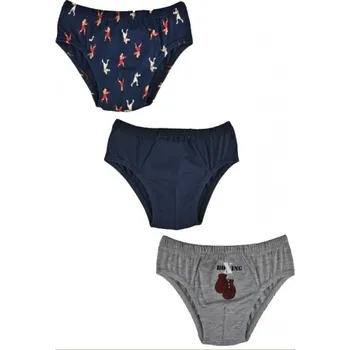 Chlapecké spodní prádlo Chlapecké bavlněné slipy, Boxing- 3ks v balení, šedé/granát, vel. 110/116 cm