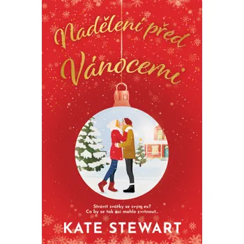 Kniha Nadělení před Vánocemi - Kate Stewart
