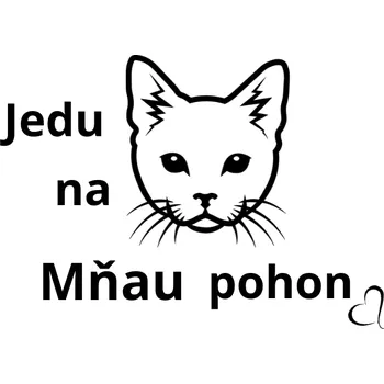 Samolepící dekorace Samolepka na auto kočička Mňau Velikost: L, Vzor: 2, Barva: červená